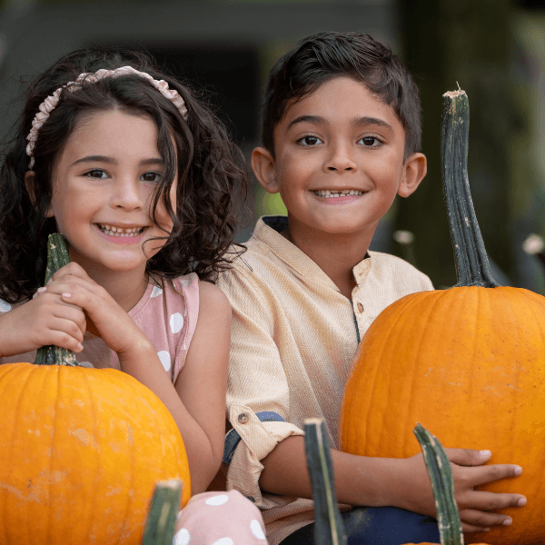 Country Pumpkins