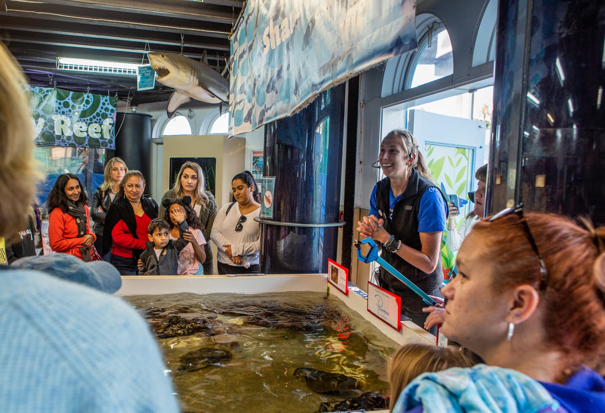Heal the Bay Aquarium