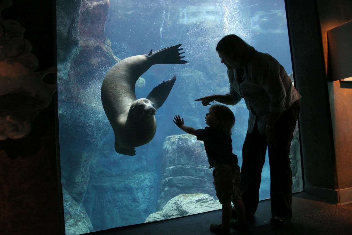 Aquarium of the Pacific