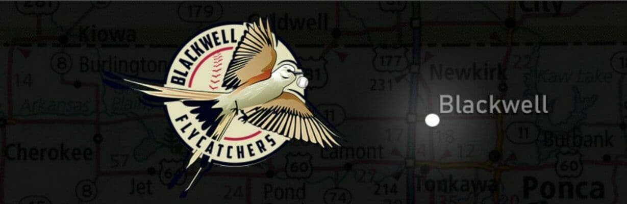 Blackwell Flycatchers