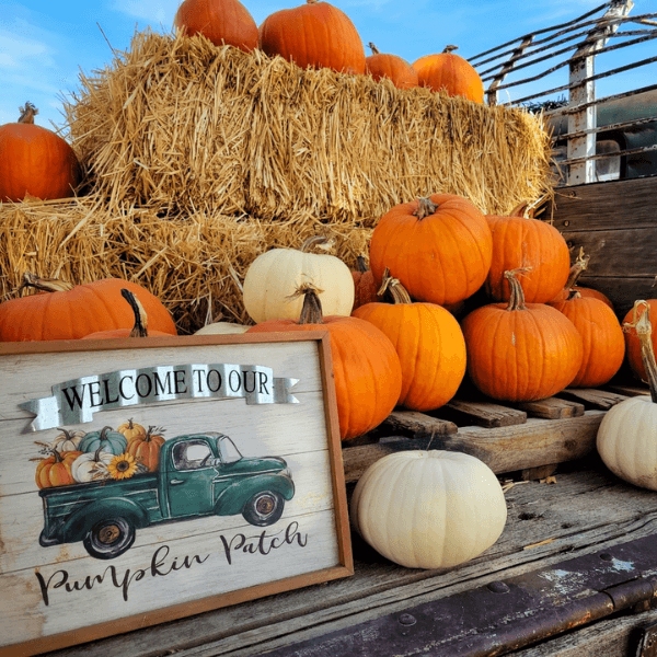 Shindig Farms