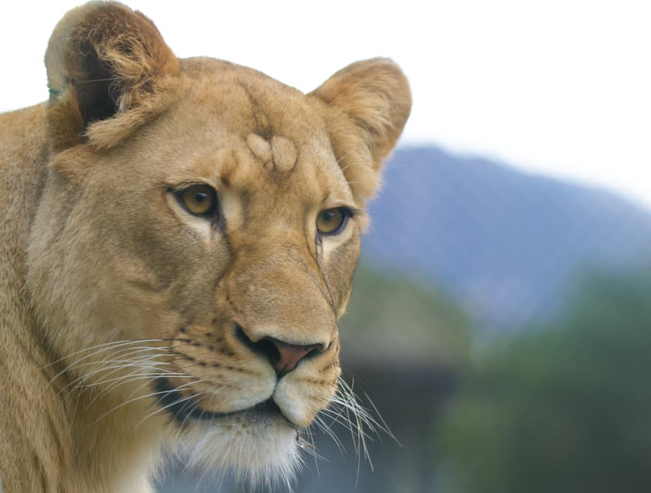 Santa Barbara Zoo
