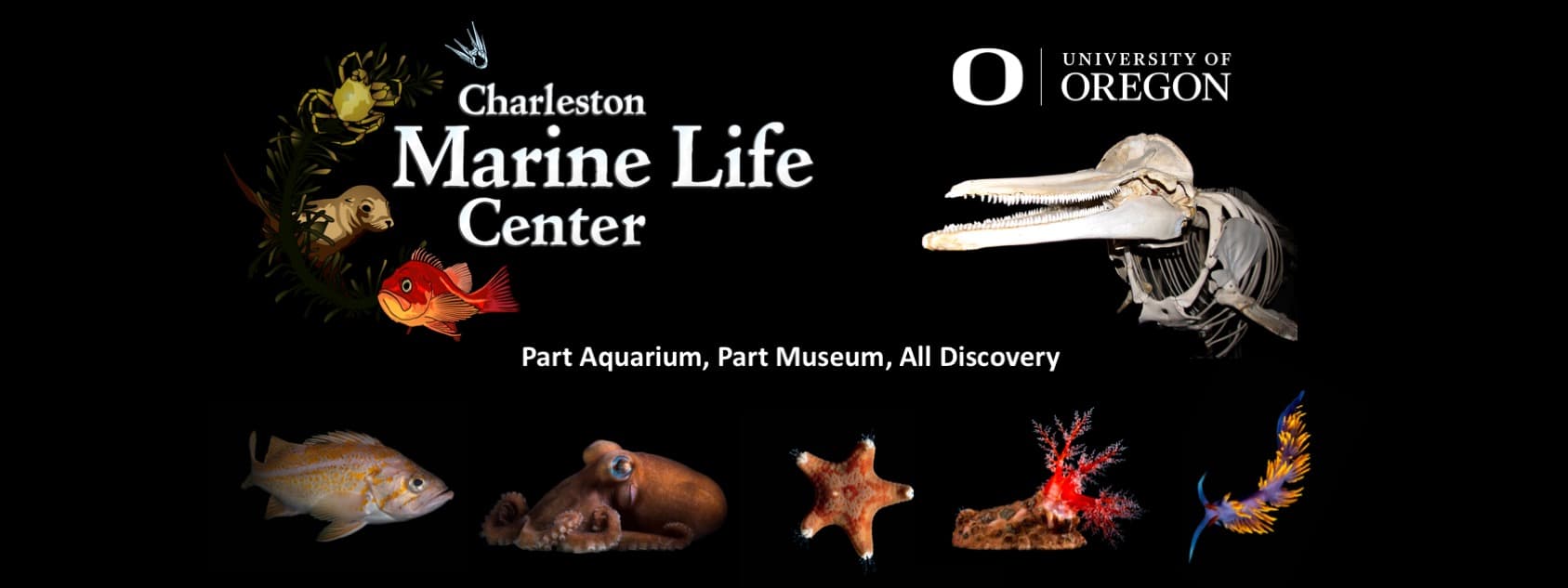 University of Oregon - Charleston Marine Life Center