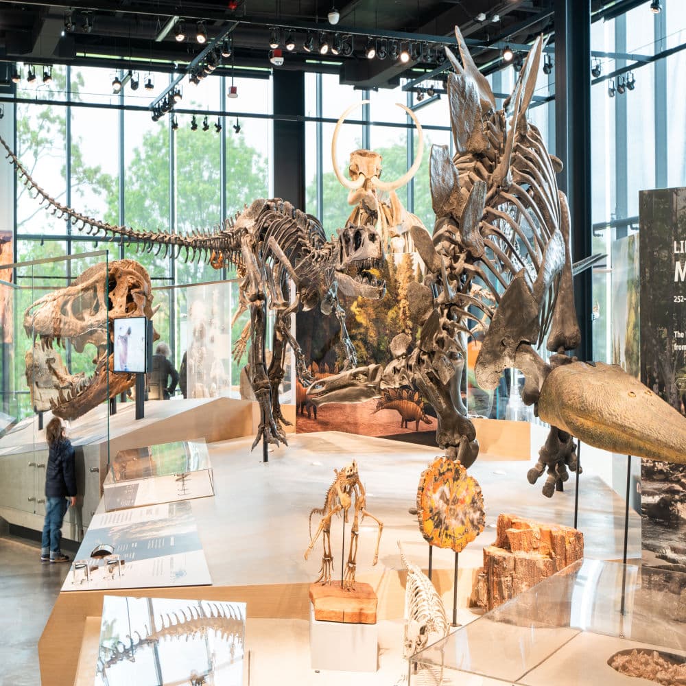 Burke Museum of Natural History