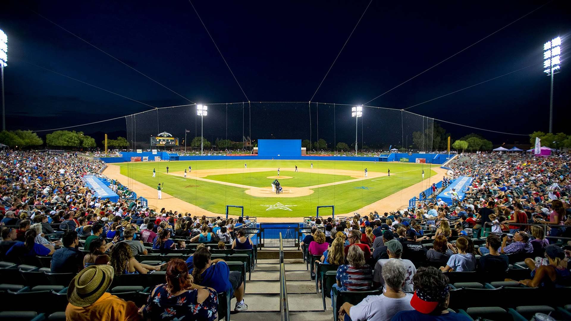 Tucson Saguaros