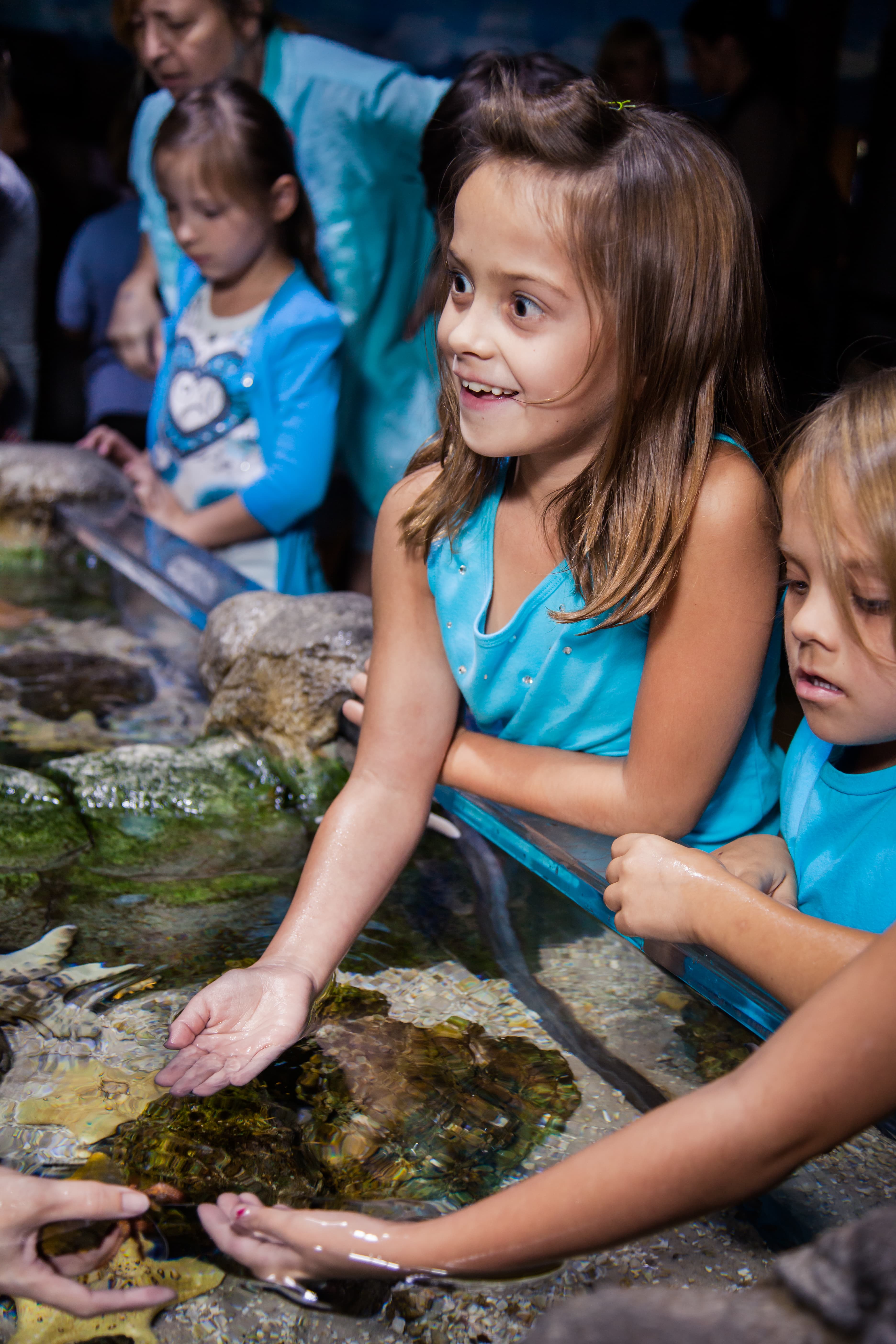 SEA LIFE Arizona Aquarium