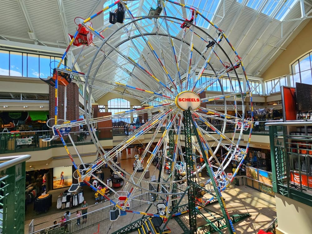 Scheels - Chandler