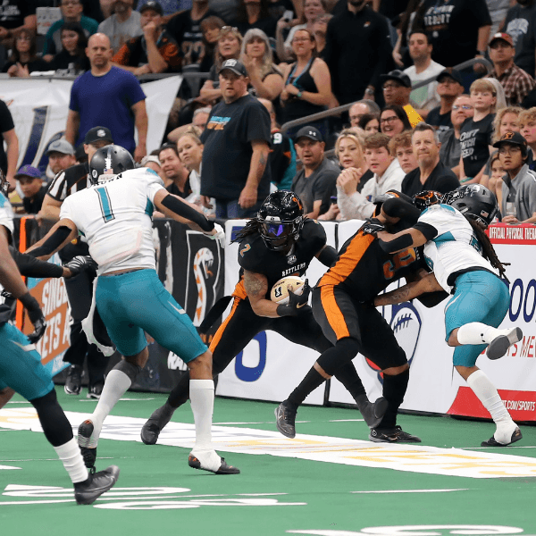 Arizona Rattlers
