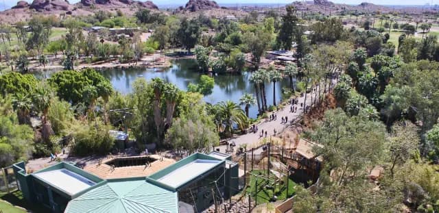 Zoo-Habitat-Architecture-Phoenix-Zoo-People-of-the-Forest-Project-WDM-Architects