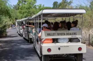 Safari Cruiser