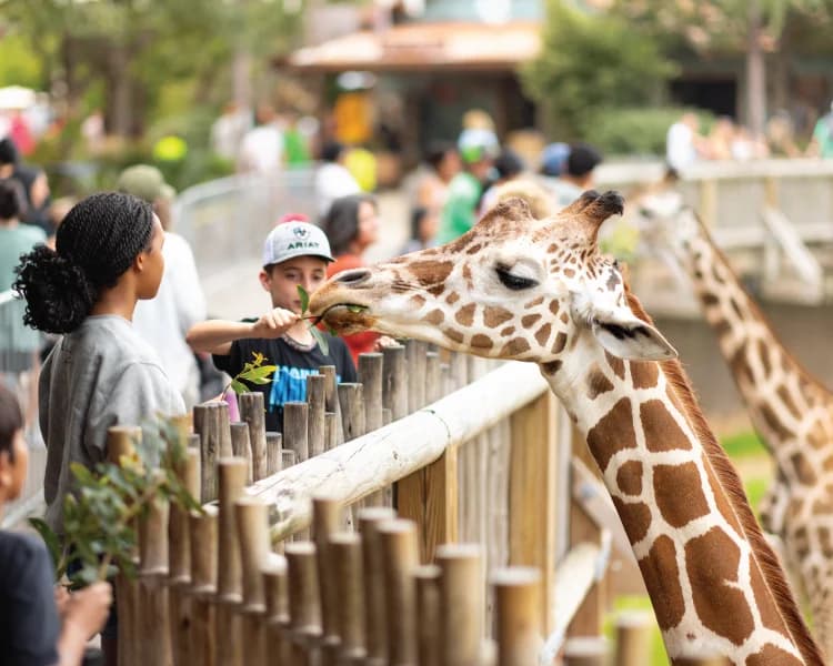 Fort Worth Zoo