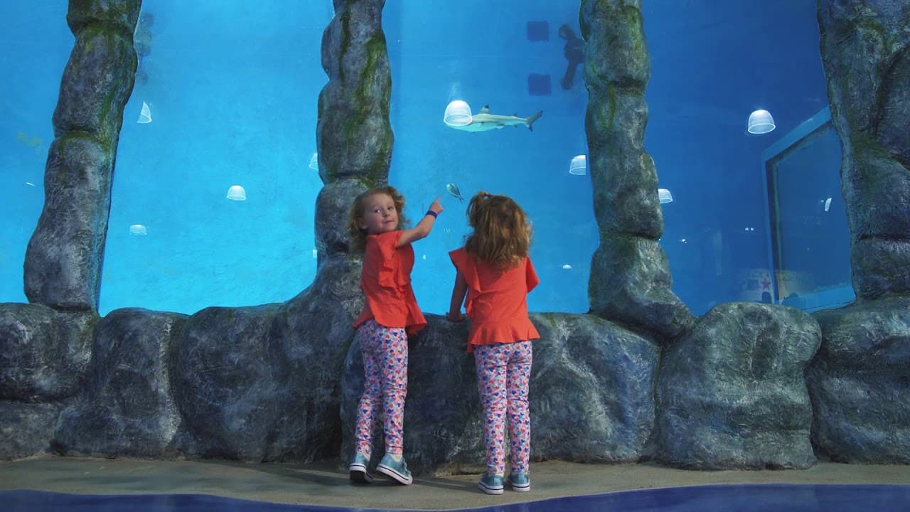 Blue Zoo Aquarium Spokane