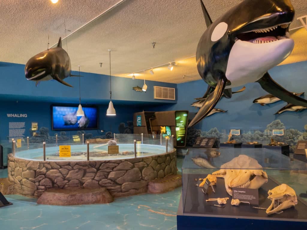 Las Vegas Natural History Museum