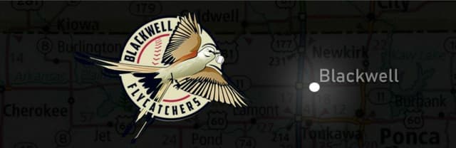 Blackwell Flycatchers