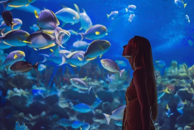 Downtown Aquarium - Houston