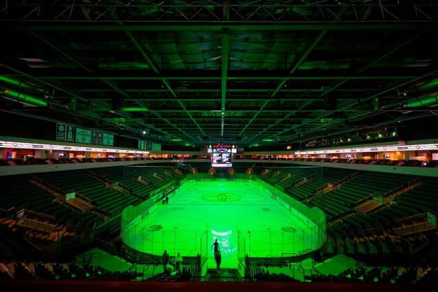 Texas Stars