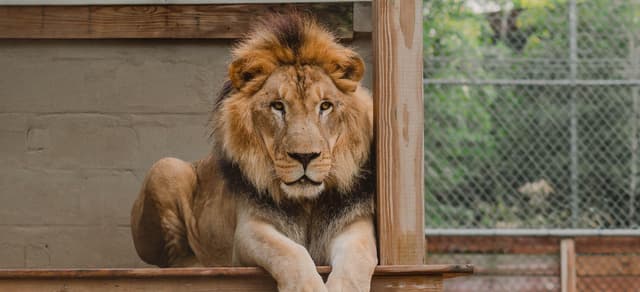 Emerald Coast Zoo